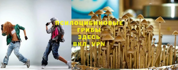 прущий лед Алзамай