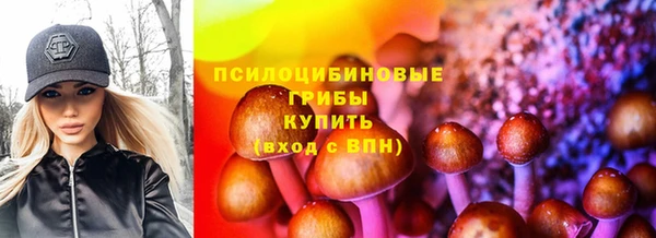 прущий лед Алзамай