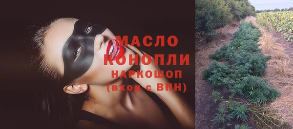 прущий лед Алзамай