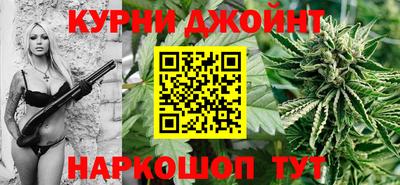 гидра Новокубанск
