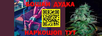 mdpv Новодвинск