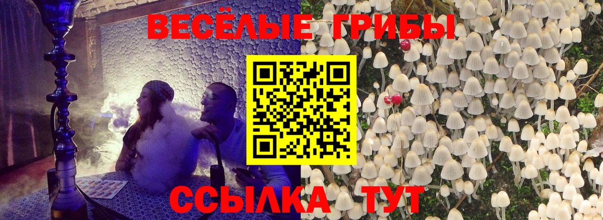 Галлюциногенные грибы мухоморы Усолье-Сибирское