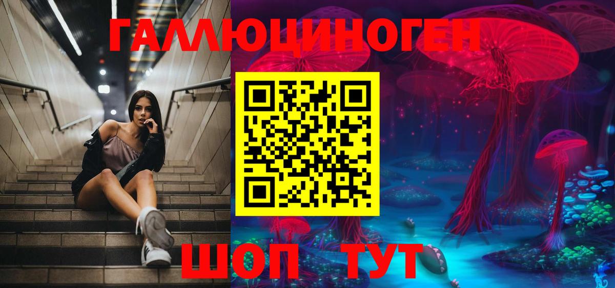 наркотики  Вход с VPN  Усолье-Сибирское  Псилоцибиновые грибы прущие грибы 